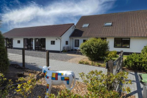 B&B Hoeve de Veldmaat